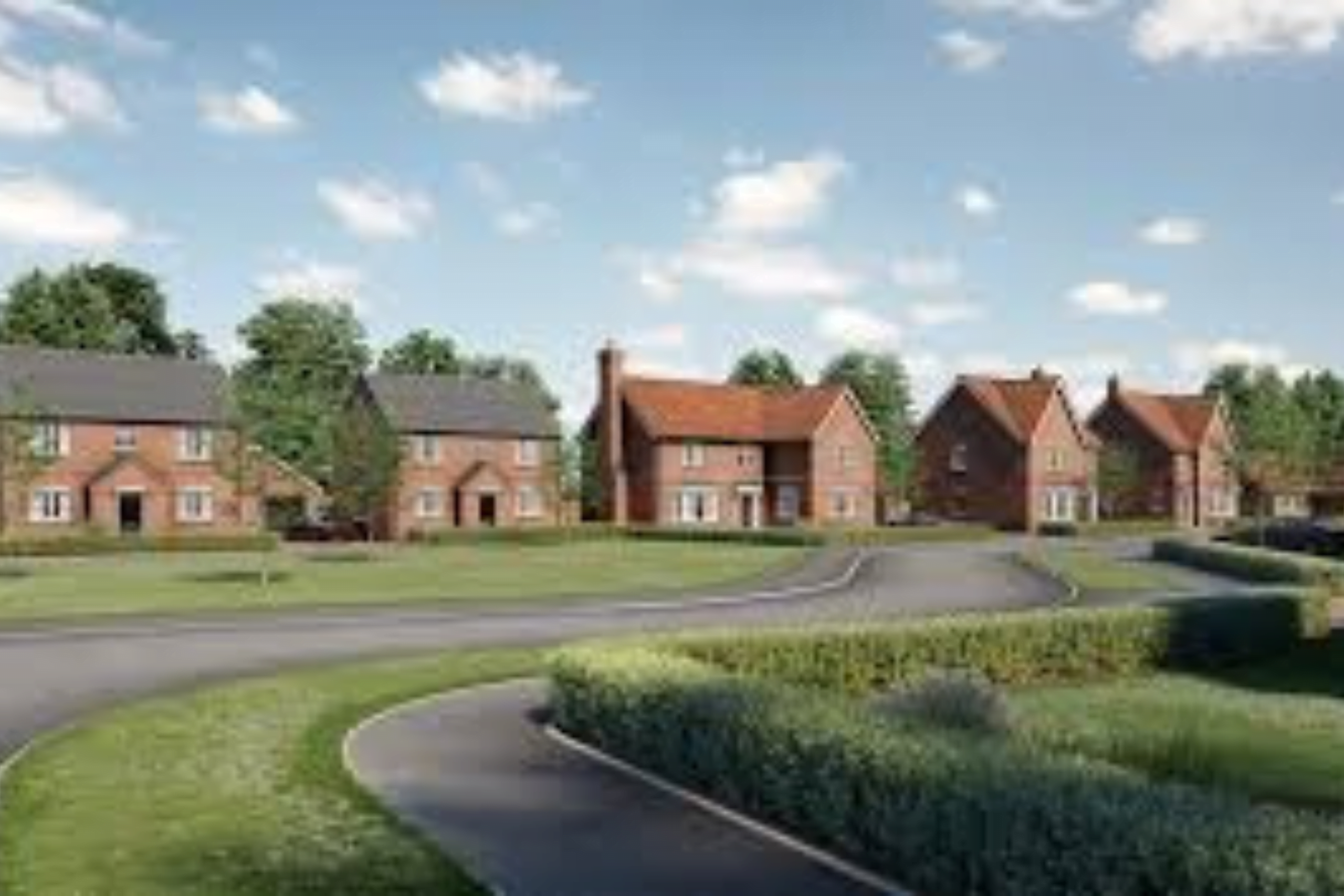 homebuyers survey in essex